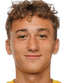 Ilie botnari player photo