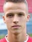 armin besagic player photo