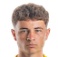 Petr honig player photo