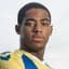 Collin Seedorf player photo