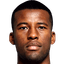 G. Wijnaldum player photo
