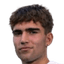 Johan Guldbrand player photo