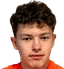 David steinegger player photo