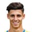 ivan franjic player photo