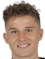 Benedikt Pichler player photo