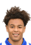 Timo Zaal player photo