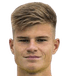 Mathias Gindl player photo
