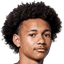 Lenny Pirringuel player photo