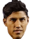 Luis Segovia player photo