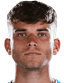 dawid olejarka player photo