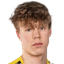 lauri laine player photo