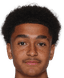 Matthew Ireland player photo