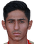 Mohammad Moslemipour player photo