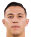Sebastián Ferreira player photo
