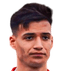 Leandro Figueredo player photo