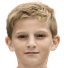 D.zamazal player photo