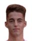 Michal Hošek player photo
