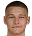 Dario Bijelić player photo