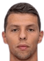 Martin Velichkov player photo