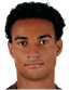 Alessandro Marcandalli player photo