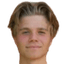 Wilmer Odefalk player photo
