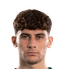 Leandro·Frroku player photo