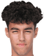 robert raducioiu player photo