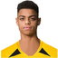 Pascal Schüpbach player photo