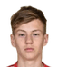 Dino Halilović player photo