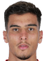 Marco Dulca player photo