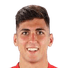 Raul Torrente Navarro player photo