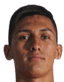 Rafael Ferrario player photo