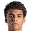 Dittner Lang player photo