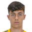 Raúl Arias player photo