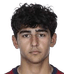 Arsen Vitarigov player photo