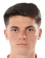Mario Tudose player photo