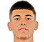 Luca Lipani player photo