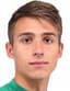 Pavel Pavlyuchenko player photo