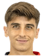 Alessandro Arena player photo
