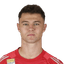 David skubl player photo