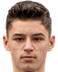 v.robu player photo