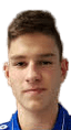 Anel Crnac player photo