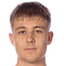 Elias Pihlstrom player photo