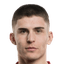 Tobias Hedl player photo
