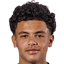 Saïd Remadnia player photo