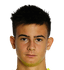 Lorenzo Torriani player photo