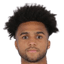 Erik Palmer-Brown player photo