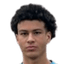 C.Cadamarteri player photo