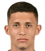 milan kolarevic player photo