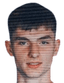 Nicolas Constantinescu player photo